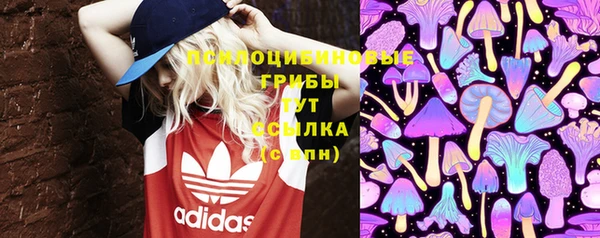 винт Балахна