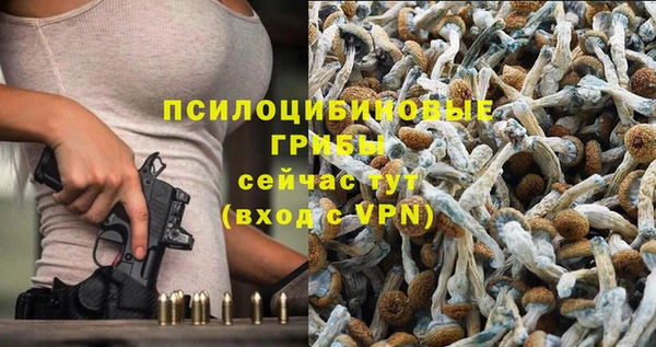винт Балахна