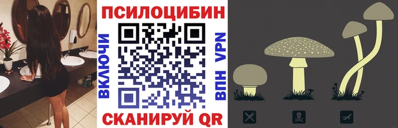 кракен вход  Нязепетровск  Галлюциногенные грибы Psilocybe  что такое наркотик 